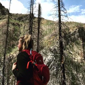 Meet your Posher, Taylor